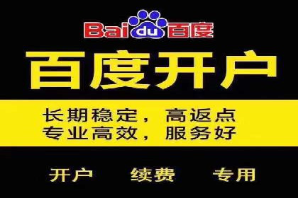 SEM代运营案例分析：精准投放策略解析